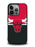 Chicago Bulls Logo iPhone 15 Pro Max Case OV9322