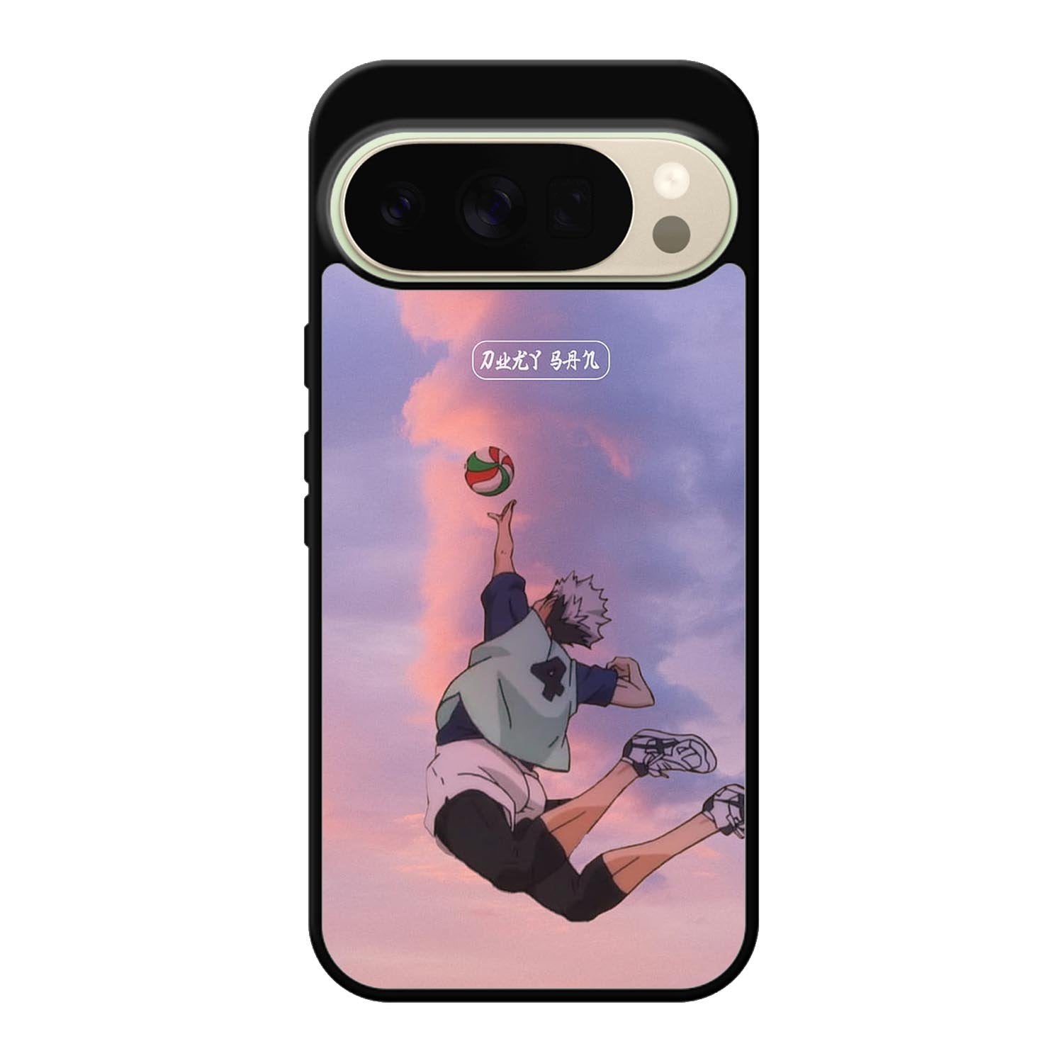 Haikyuu hinata Google Pixel 10 Pro Case QC9448