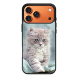 Grey Kitten iPhone 17 Pro Case OV5901