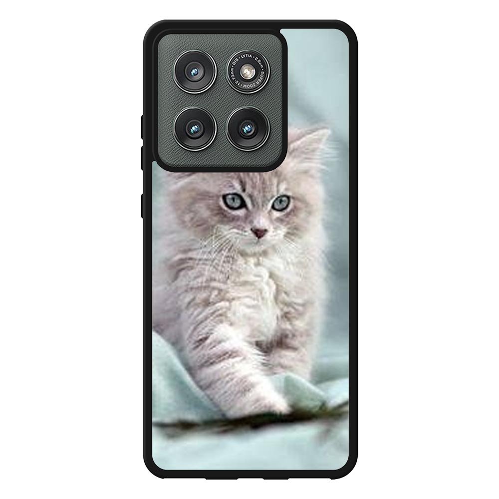 Grey Kitten Motorola Moto Edge 2025 Case OV5901