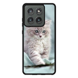 Grey Kitten Motorola Moto Edge 2025 Case OV5901