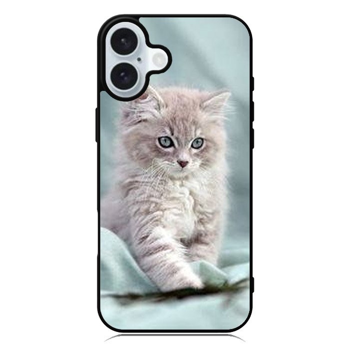 Grey Kitten iPhone 16 Plus Case QC5901