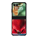 The Sea Beast Motorola Moto RAZR 2025 Case OV10724