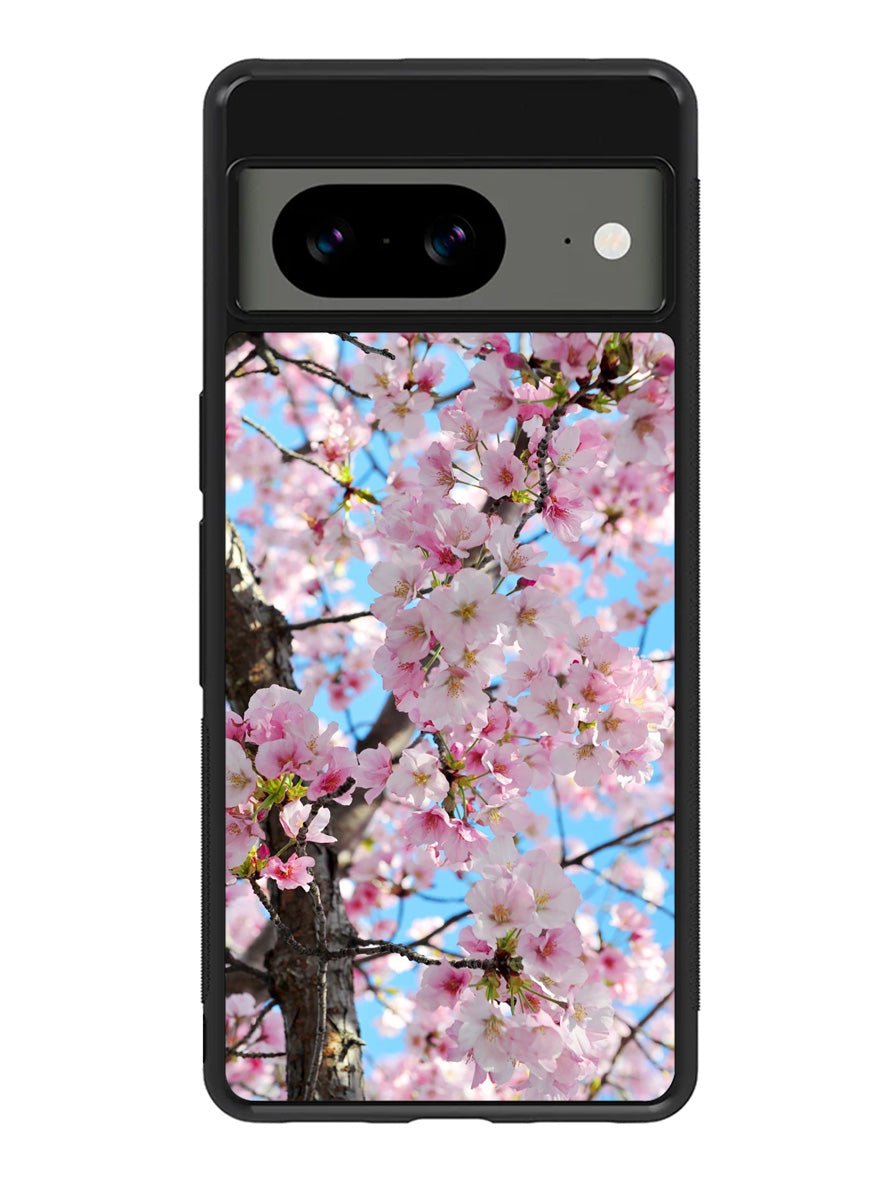 Cherry Blossoms Google Pixel 8A Case QC0867