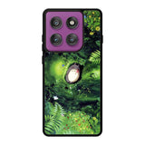 My Neighbour Totoro Motorola Moto Edge 60 Pro Case OV10983