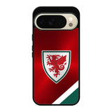 Wales Football Team Google Pixel 10 Pro XL Case OV10193