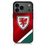 Wales Football Team Samsung Galaxy S26 Ultra Case OV10193