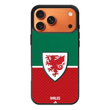 Wales Football Team iPhone 17 Pro Max Case OV10195