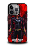 Black Window iPhone 15 Pro Max Case OV0025