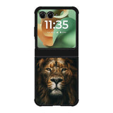 Lion Gold Motorola Moto RAZR 2025 Case OV9365