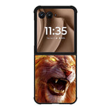 Golden Lion Motorola Moto RAZR Plus 2025 Case OV8652