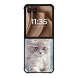 Grey Kitten Motorola Moto RAZR Plus 2025 Case OV5901