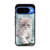 Grey Kitten Google Pixel 10 Case OV5901