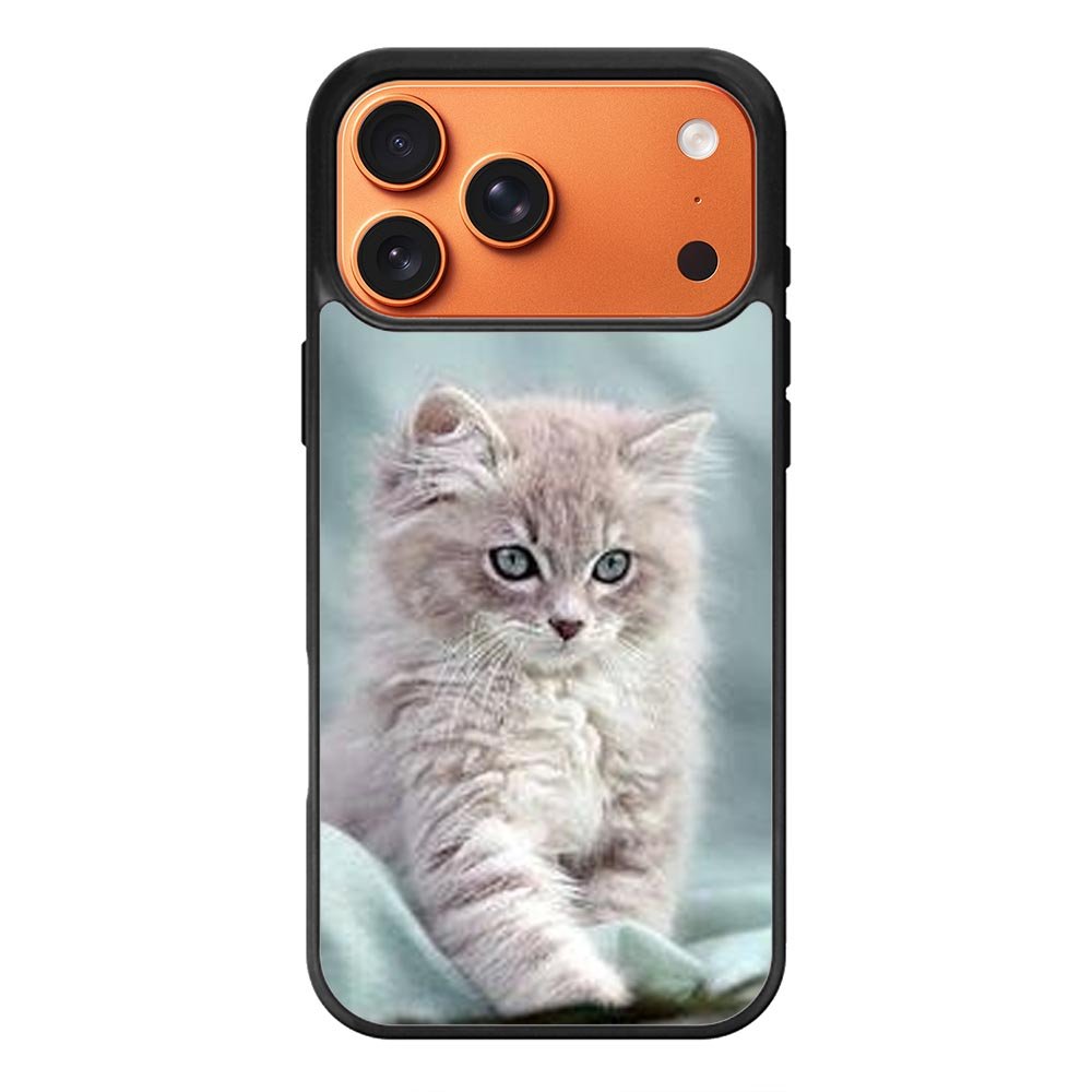 Grey Kitten iPhone 17 Pro Max Case OV5901