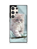 Grey Kitten Samsung Galaxy S23 Ultra 5G Case QC5901