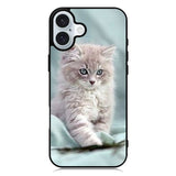 Grey Kitten iPhone 16 Case QC5901