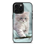 Grey Kitten iPhone 16 Pro Max Case OV5901
