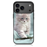 Grey Kitten iPhone 17 Pro Case OV5901