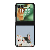 Cat Motorola Moto RAZR 2025 Case OV11194