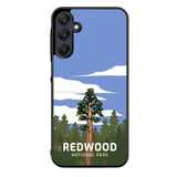 Redwood National Park FZ0211 Samsung Galaxy A25 5G Case