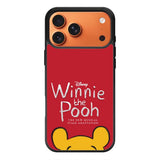 Winnie The Pooh iPhone 17 Pro Max Case OV8964