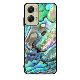 The Great Abalone Motorola Moto G Stylus 5G 2024 Case OV7687