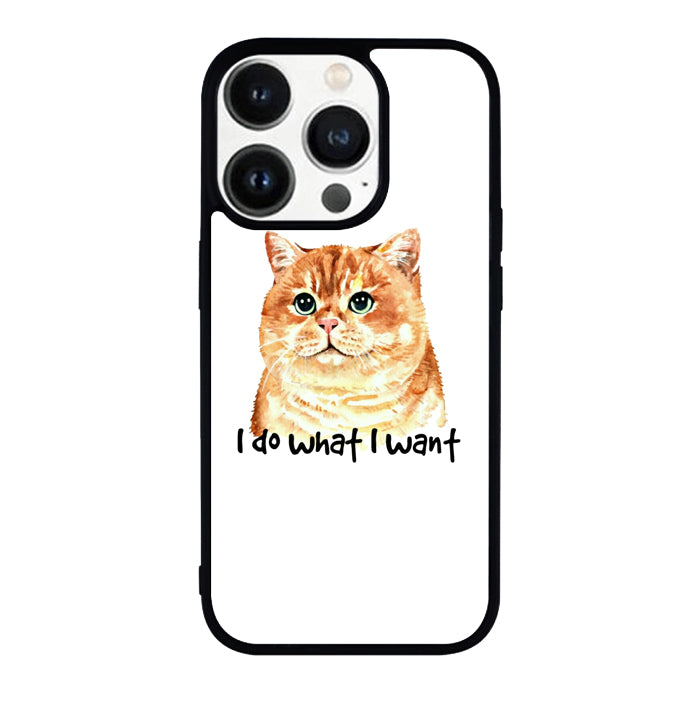 I do what what FLN0119 iPhone 14 Pro Max | iPhone 14 Pro | iPhone 14 Plus | iPhone 14 Case