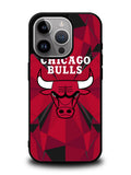 chicago bulls iPhone 14 Pro Max Case QC10680