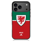 Wales Football Team iPhone 17 Pro Case OV10195