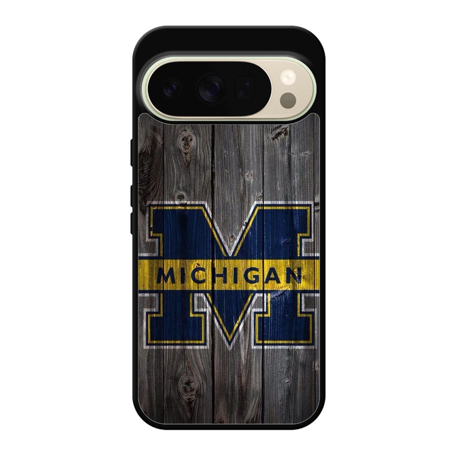 Michigan Google Pixel 10 Pro Case OV3298