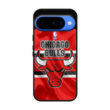 Chicago Bulls Flag Google Pixel 10 Case OV10679