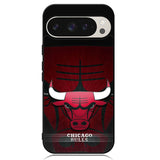 Chicago Bulls Google Pixel 9 | Pixel 9 Pro Case OV10685